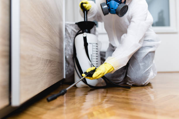Best Flea Control Services  in Moreno Valley, CA