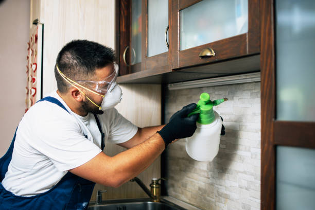 Best Ant Control Services  in Moreno Valley, CA