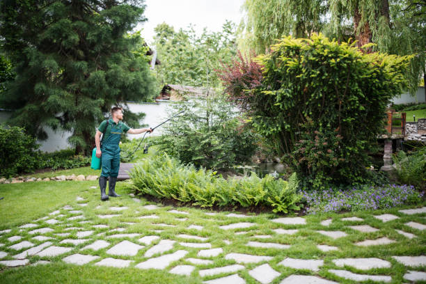 Best Best Pest Control Companies  in Moreno Valley, CA