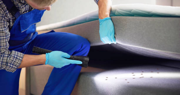 Trusted Moreno Valley, CA Pest Control Experts