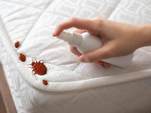 Best Bed Bug Extermination  in Moreno Valley, CA