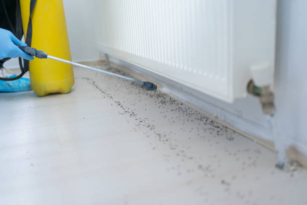 Best Exterminator Services  in Moreno Valley, CA